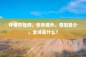 伴烟霞独向，非非境外，恨知音少。全诗是什么？