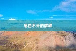 皂白不分的解释