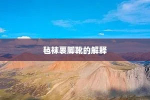 毡袜裹脚靴的解释