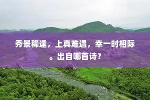 秀景稀逢，上真难遇，幸一时相际。出自哪首诗？