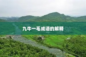 九牛一毛成语的解释