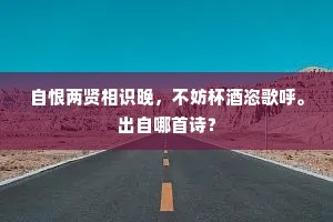 自恨两贤相识晚，不妨杯酒恣歌呼。出自哪首诗？