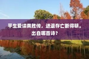 平生爱读龚胜传，进退存亡断得明。出自哪首诗？