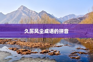 久历风尘成语的拼音