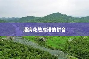 酒病花愁成语的拼音